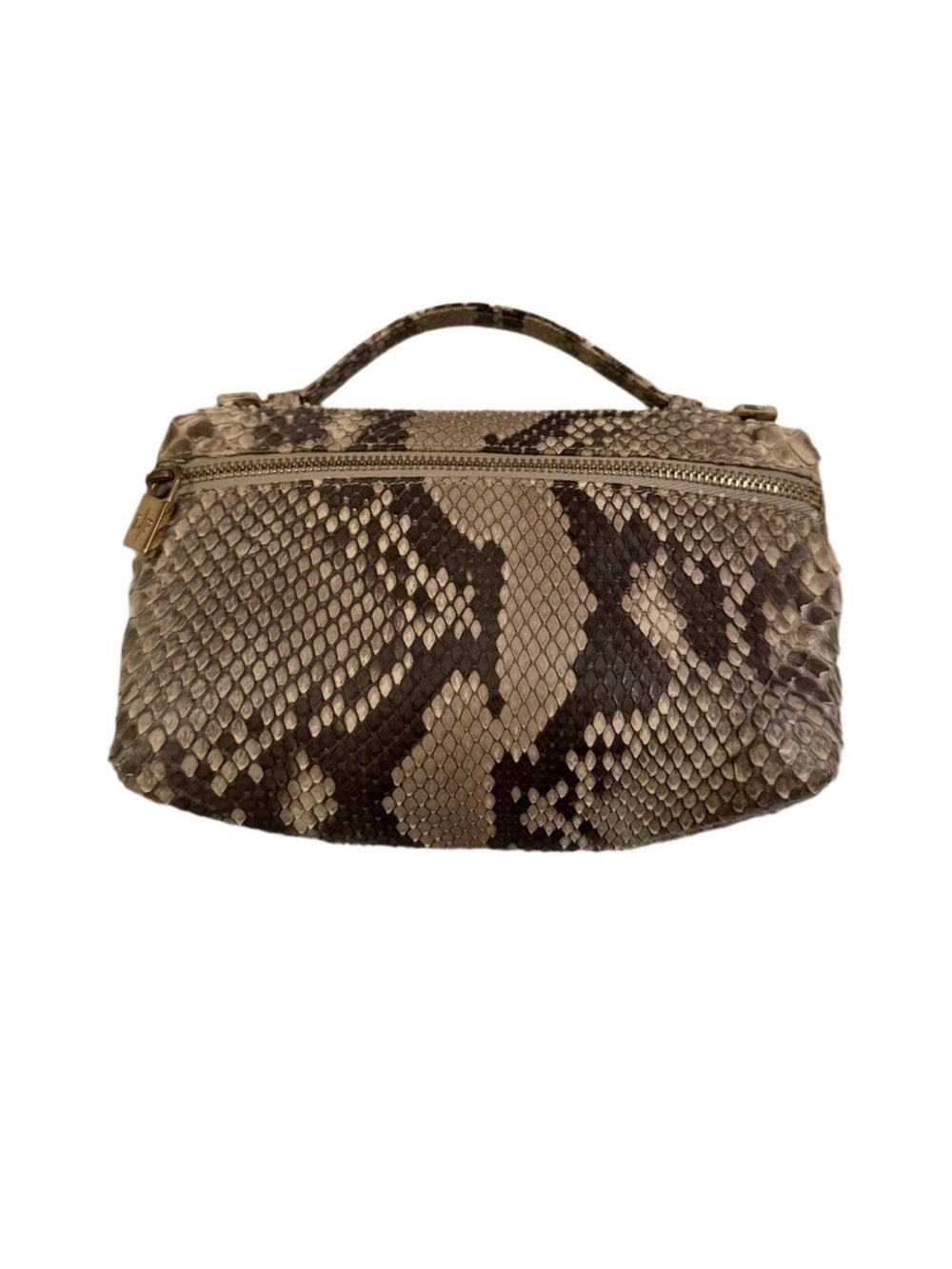 Loro Piana L19 Pouch Bag Python Snakeskin